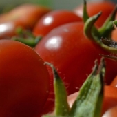 5 alimentos cancerígenos que debes evitar en tu dieta 5 alimentos cancerígenos que debes evitar en tu dieta
