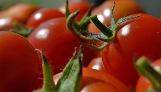 5 cancer-causing products that you should exclude from your diet