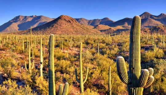 5 common things you can go to jail for in other countries