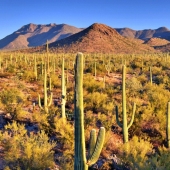 5 cosas comunes por las que puedes ir a la cárcel en otros países