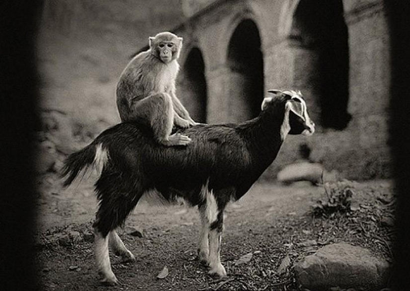 50 maravillosas imágenes en blanco y negro de los maestros de la fotografía 50 maravillosas imágenes en blanco y negro de los maestros de la fotografía