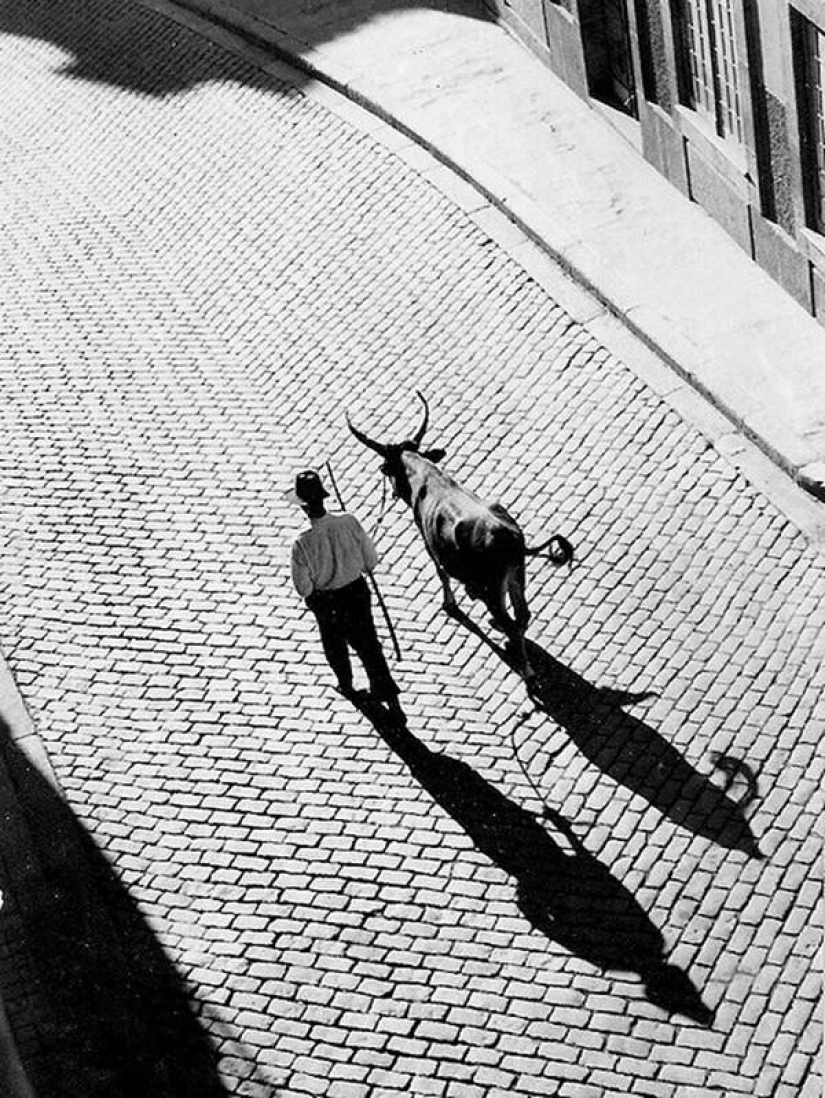 50 wonderful black and white pictures from the masters of photography