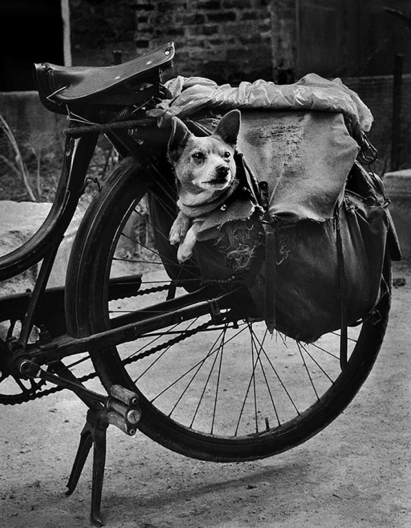 50 wonderful black and white pictures from the masters of photography