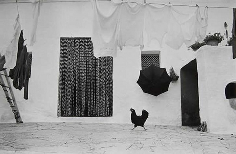 50 wonderful black and white pictures from the masters of photography