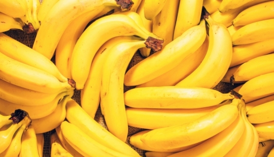 6 alimentos que nadie debe comer