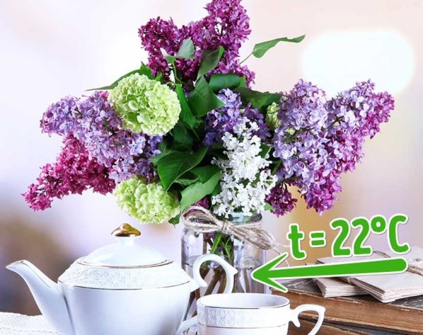 6 easy ways to keep fresh cut flowers for longer