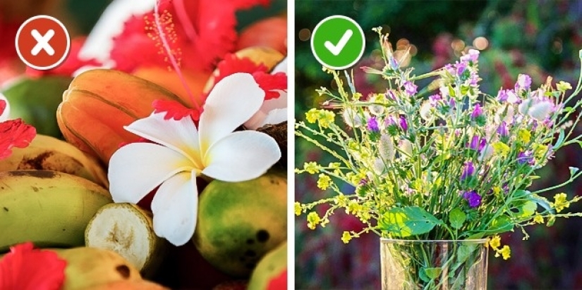 6 easy ways to keep fresh cut flowers for longer