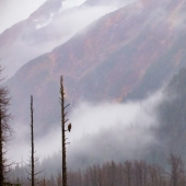 6 razones por las que deberías imprimir tus fotos