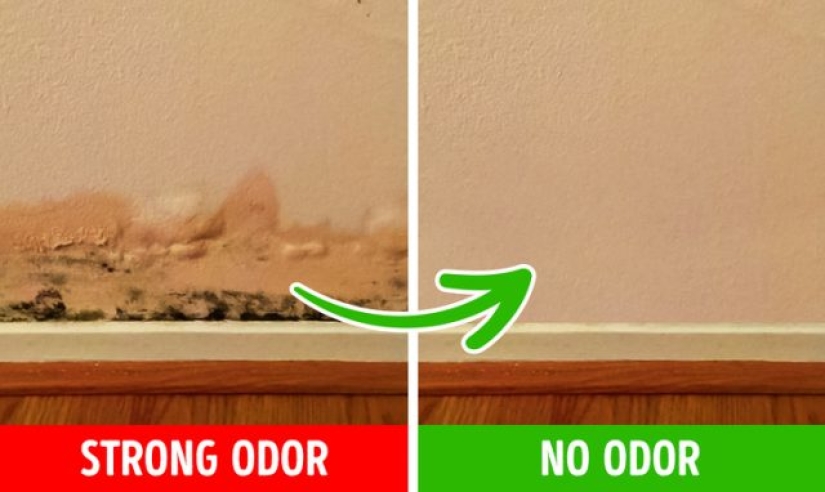 6 reasons why your home smells bad