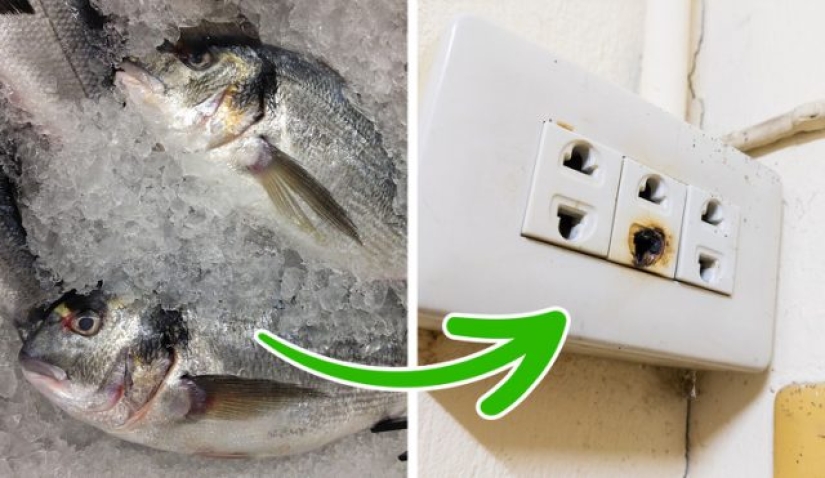 6 reasons why your home smells bad