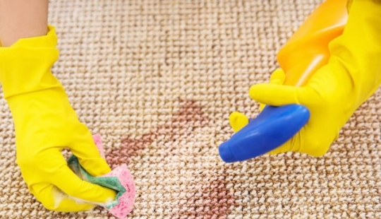 6 reasons why your home smells bad 6 reasons why your home smells bad