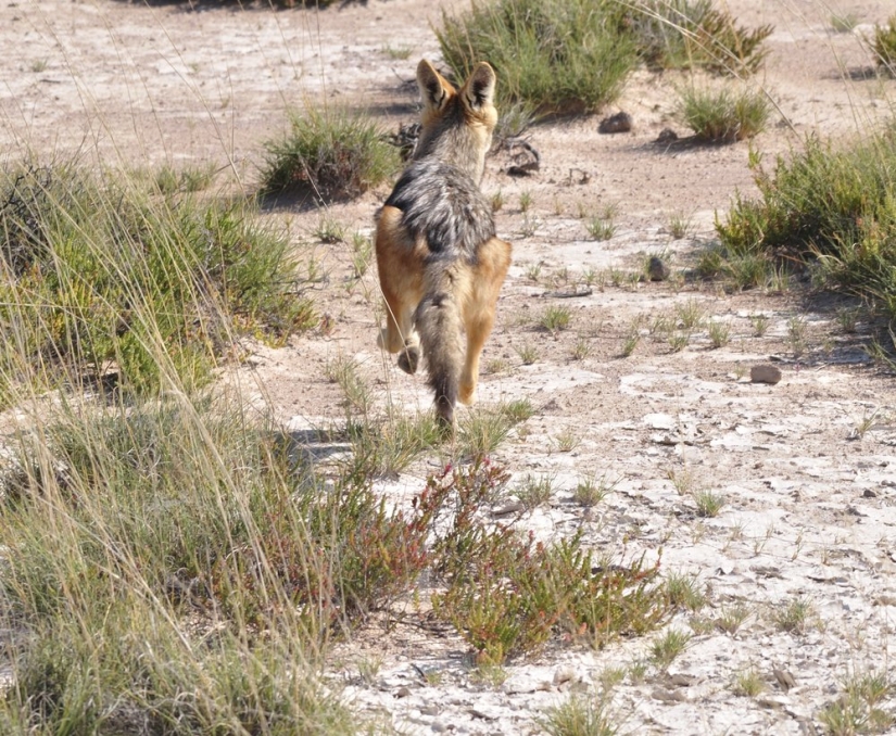 7 almost incredible facts about the Milky Way 7 almost incredible facts about the Milky Way