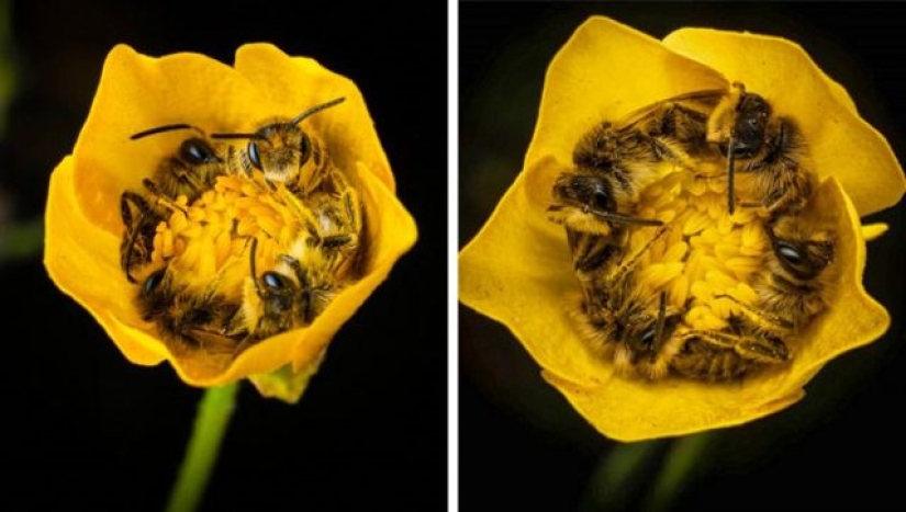 7 fotos que nos ayudan a mirar el mundo en el que vivimos, bajo una nueva perspectiva