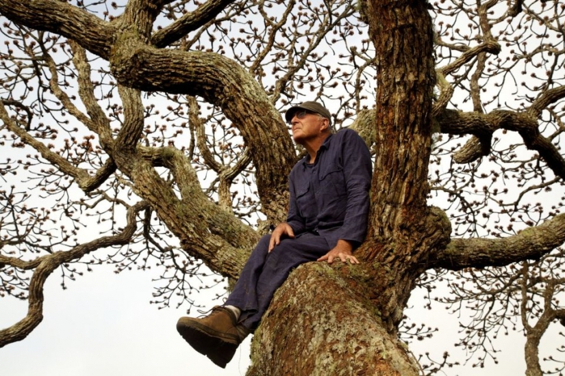 7 interesting facts about trees you didn't know about