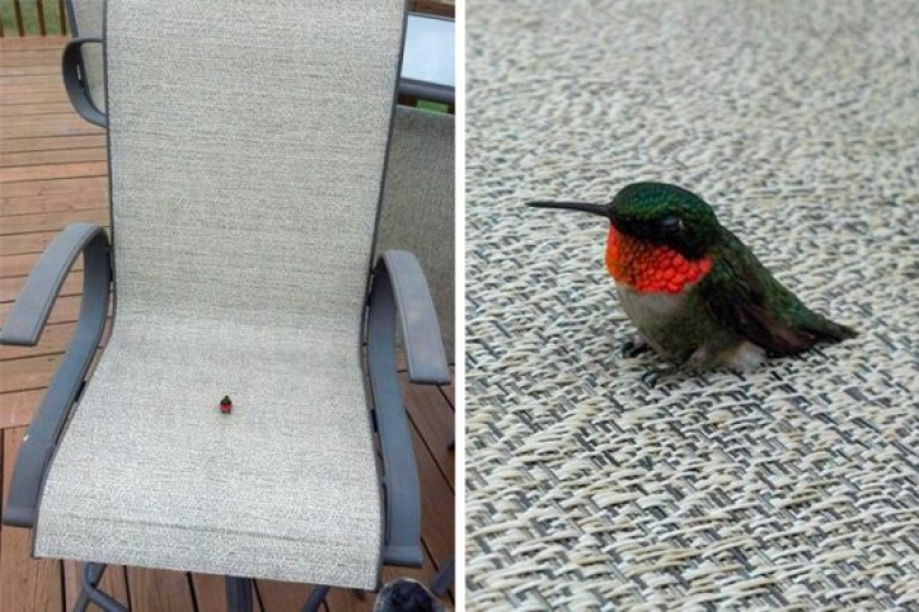 7 photos that help us to look at the world in which we live, under a new angle
