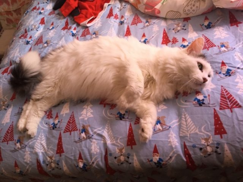 7 ways to keep warm at home 7 ways to keep warm at home