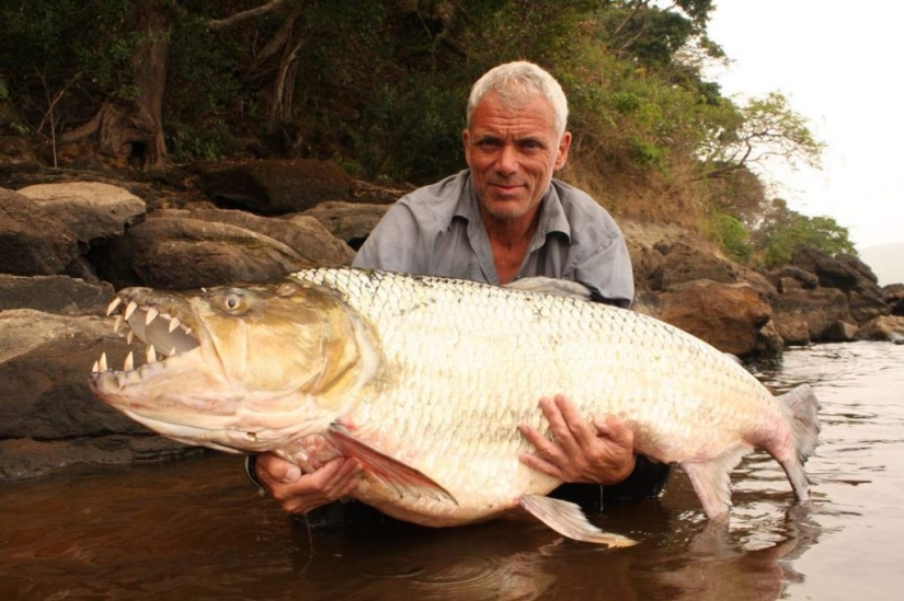 7 weirdest and scariest animals you must run from