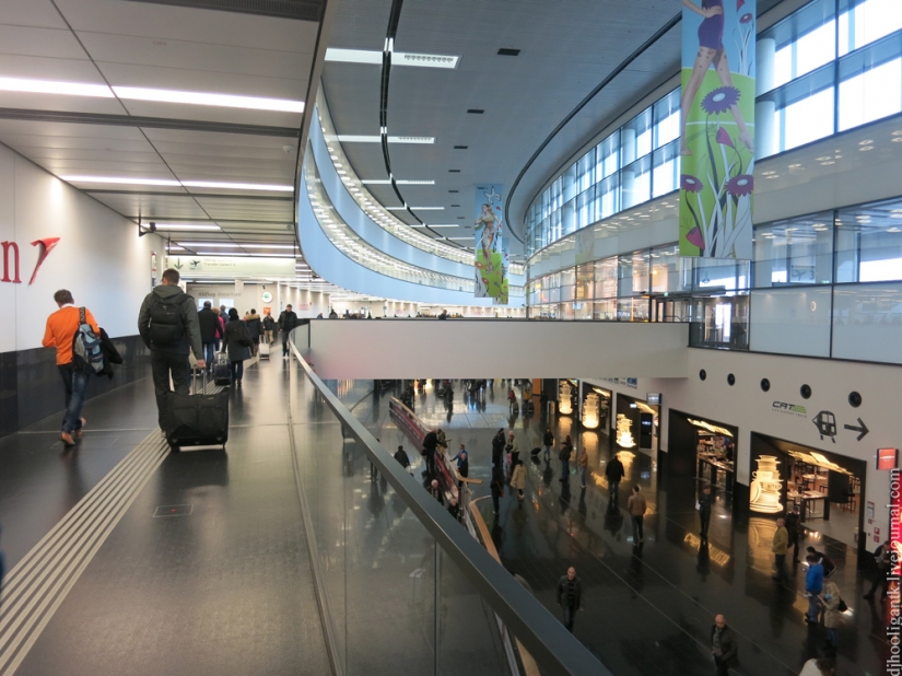 8 cosas que probablemente no sabes sobre Viena 8 cosas que probablemente no sabes sobre Viena