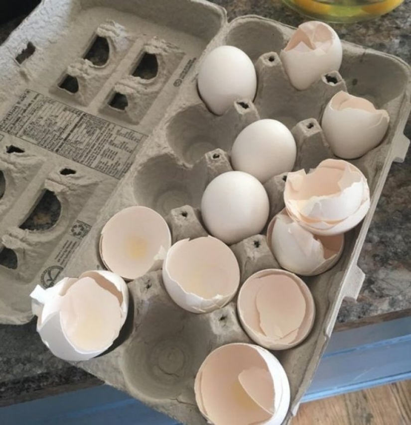 8 desperdicios de comida que puedes comer