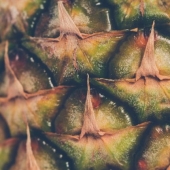 8 hechos más interesantes sobre la piña 8 hechos más interesantes sobre la piña