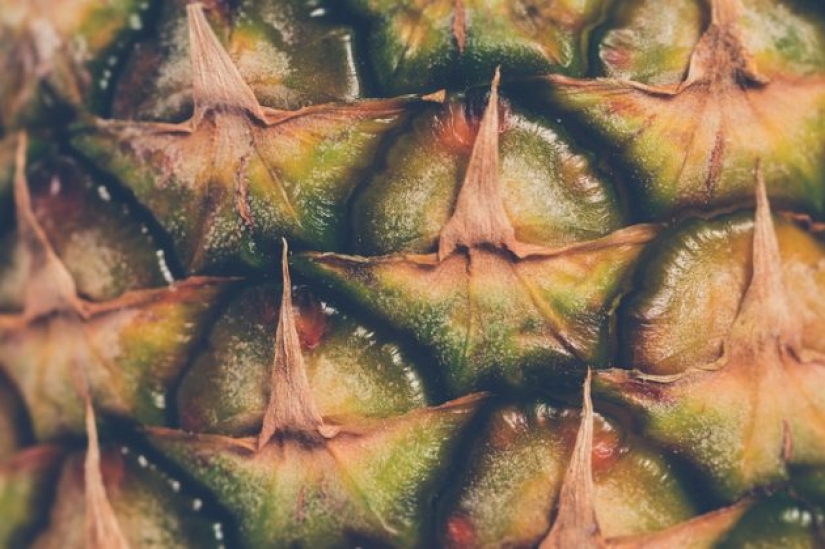 8 hechos más interesantes sobre la piña