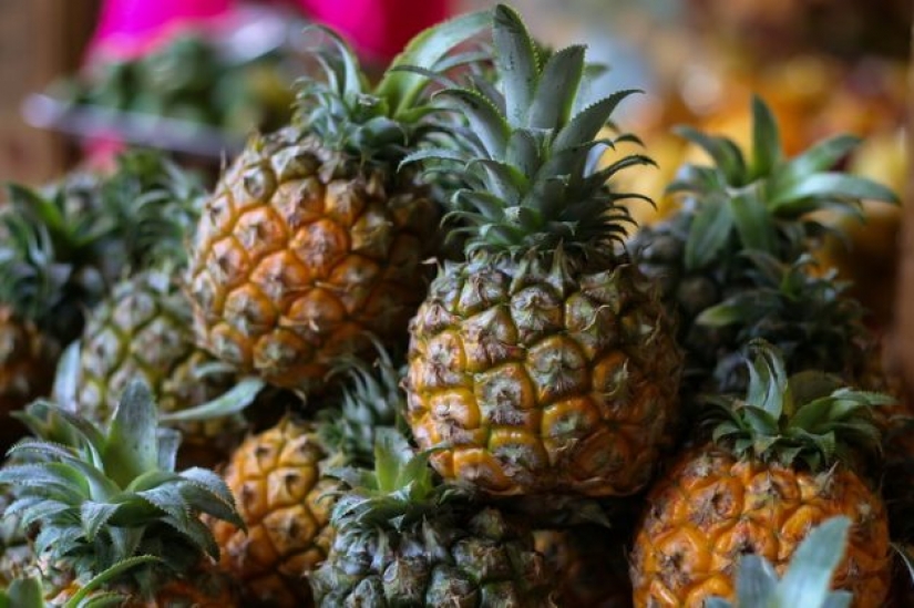 8 hechos más interesantes sobre la piña