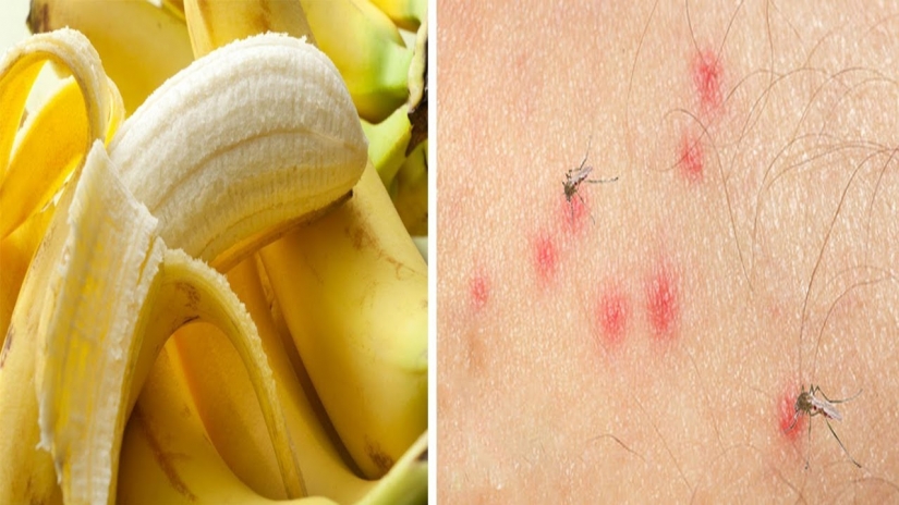 8 most incredible benefits of bananas 8 most incredible benefits of bananas