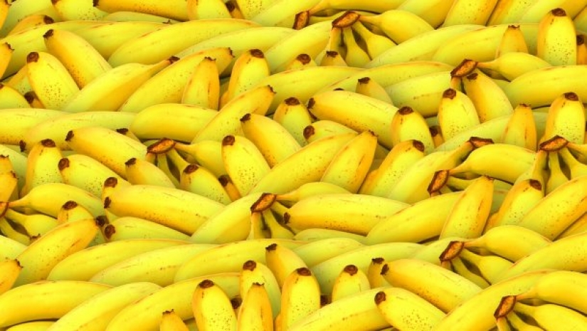8 most incredible benefits of bananas 8 most incredible benefits of bananas