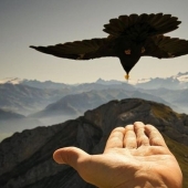 8 most integralnih places in the world, where all go to be photographed