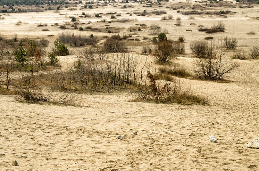 8 natural wonders that are actually created by man