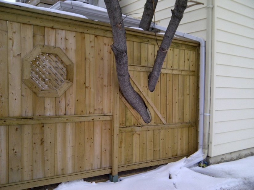 8 poderosas fotos que demuestran que nuestro planeta todavía tiene posibilidades