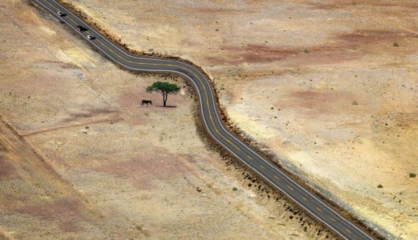 8 powerful photos that prove our planet still has a chance