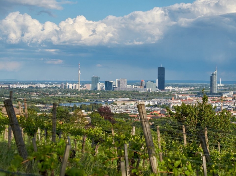 8 things you probably don't know about Vienna 8 things you probably don't know about Vienna