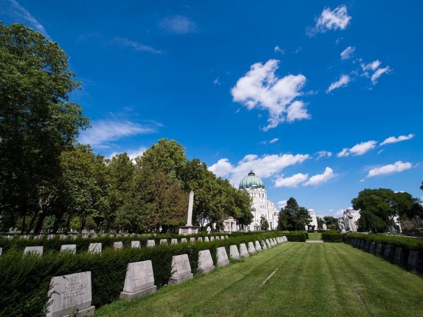 8 things you probably don't know about Vienna 8 things you probably don't know about Vienna