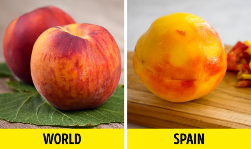 9 cosas comunes en España que parecen salvajes al resto del mundo