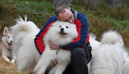 9 cosas que hacen que tu perro te odie en secreto