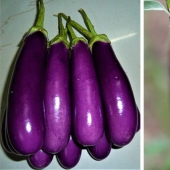 9 foods that are not what we think 9 foods that are not what we think