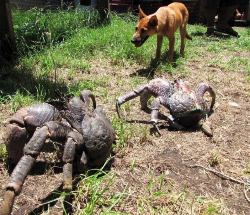 9 fotos que nos dieron ganas de desmayarnos de sorpresa 9 fotos que nos dieron ganas de desmayarnos de sorpresa