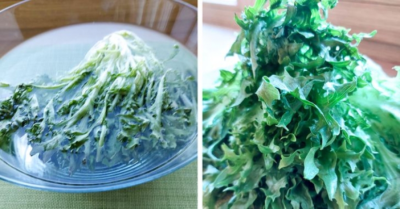9 kitchen life hacks worthy of the Nobel Prize