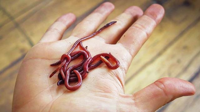 9 most unusual professions