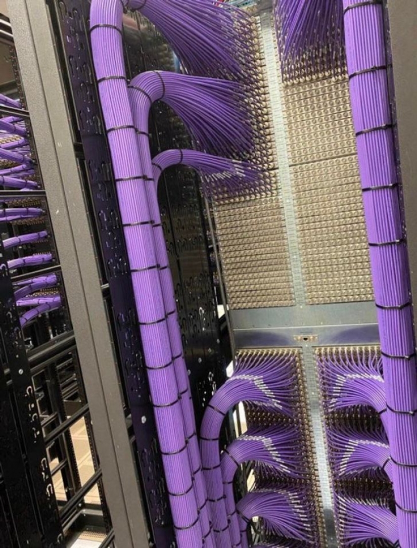 9 photos proving that perfection exists