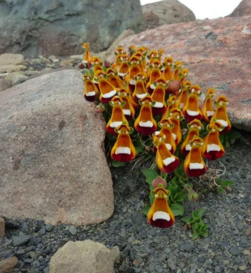 9 photos that can fool anyone