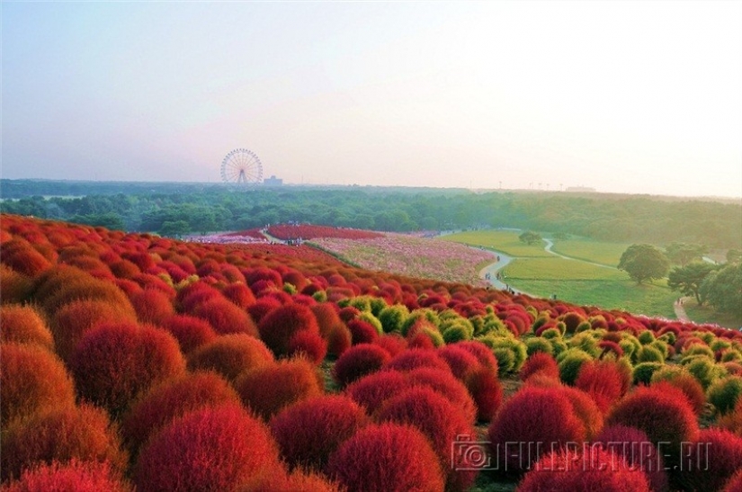 9 places that will make you drop everything and start exploring the world