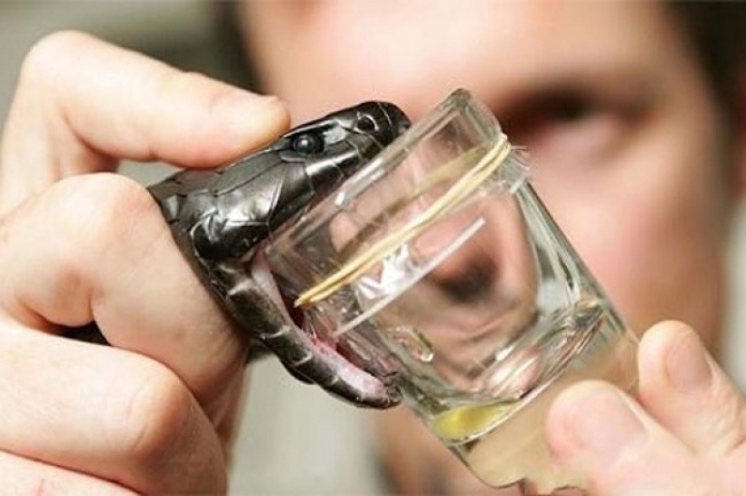 9 profesiones más inusuales 9 profesiones más inusuales