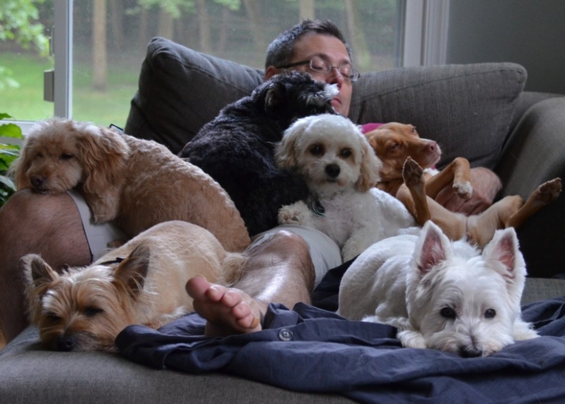 9 scientifically proven reasons to get a dog