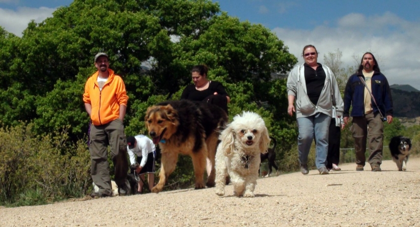 9 scientifically proven reasons to get a dog