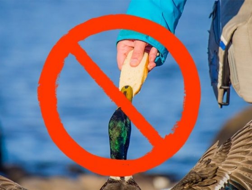 9 shocking facts that will turn your world upside down