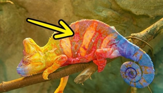 9 shocking facts that will turn your world upside down