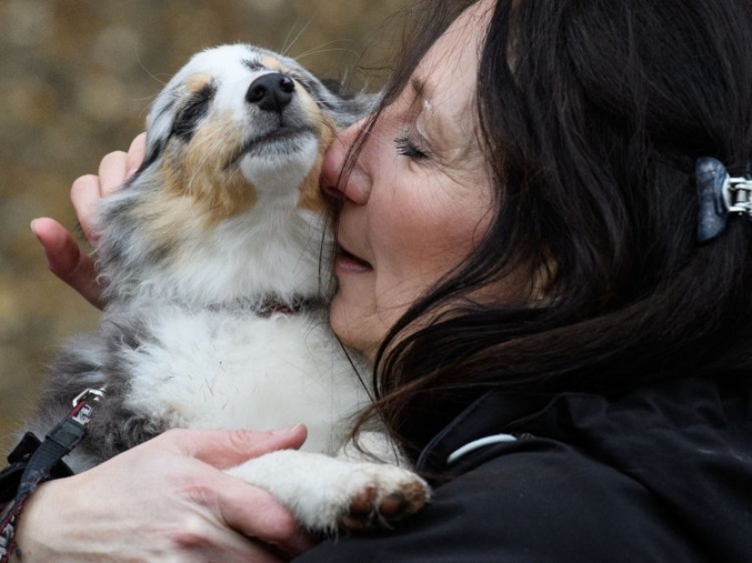 9 things that make your dog secretly hate you