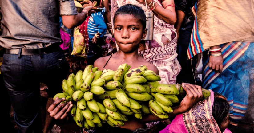 A banana its "pandemic" we can lose the favorite fruits